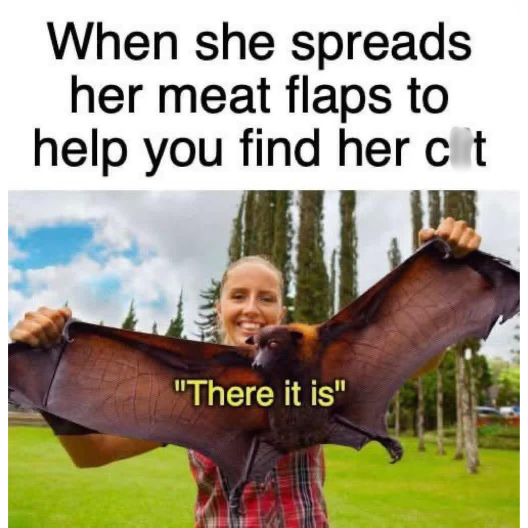 20 Memes That Take a Slightly Naughty Detour Midway 13 There it is