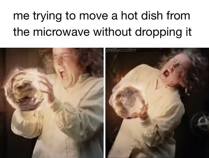 20 Memes That Are Somehow Dumb and Genius at the Same Time 19 Trying to move a hot dish