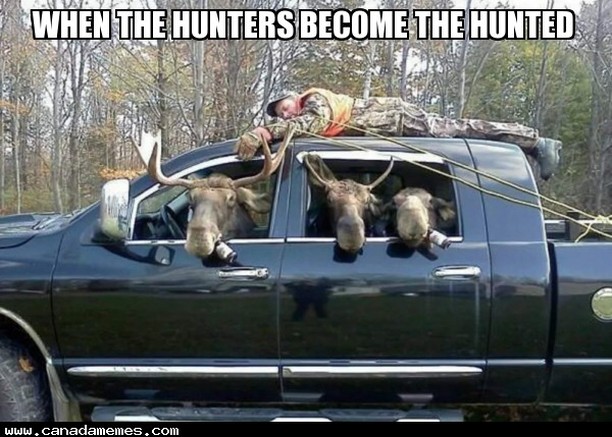 20 Canada Memes That Are One “Eh?” Away From Total Madness 19 Uniters becomes the hunted