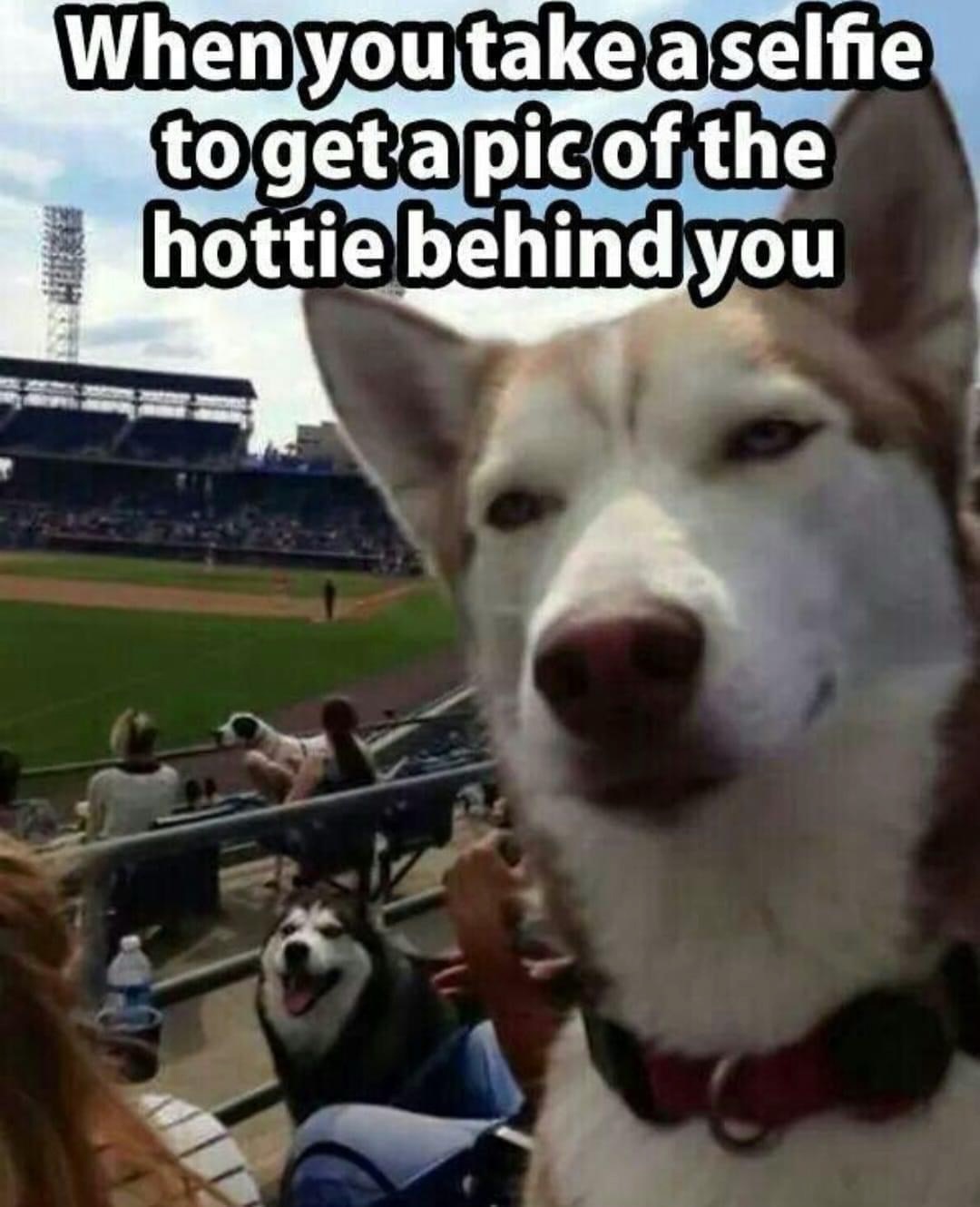 20 Internet Dumpster Fire Memes You Won’t Be Able to Look Away From 22 WHEN YOU TAKE A SELFIE