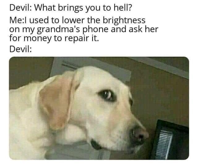 20 Memes That Feel Like Random Thoughts Escaping Your Brain 18 What bring you to hell