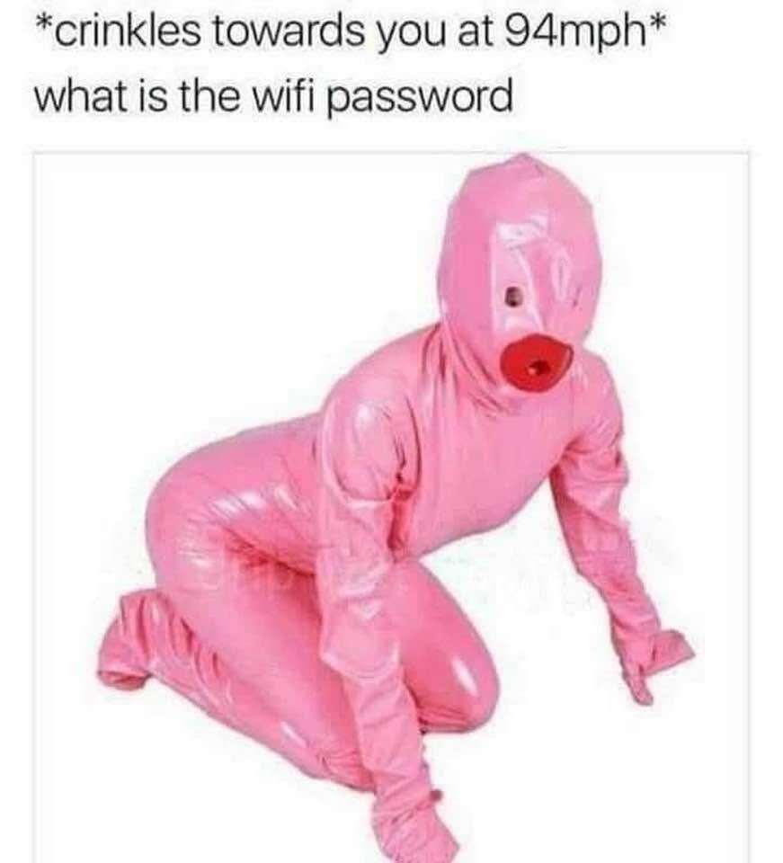 20 Memes That Need to Be Put in Handcuffs and Questioned Immediately 17 What is the wifi password