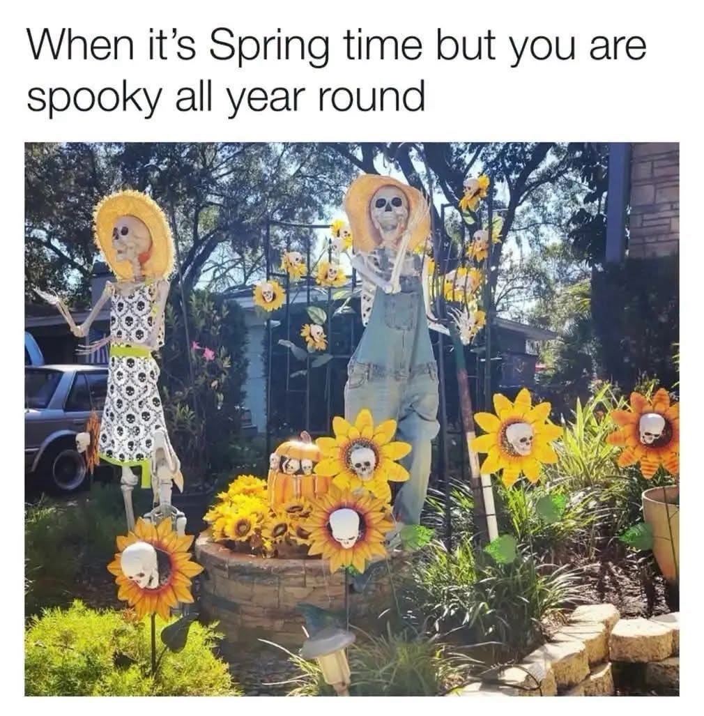 20 Memes That Need to Be Put in Handcuffs and Questioned Immediately 18 When its spring time