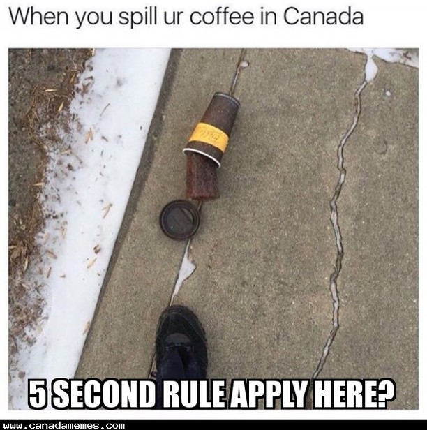 20 Canada Memes That Are One “Eh?” Away From Total Madness 21 When you spill your coffee