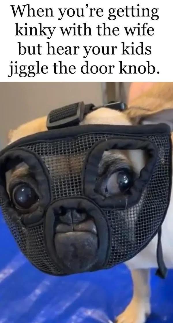 20 Memes That Are Lowkey Naughty but Highkey Funny 19 When youre getting