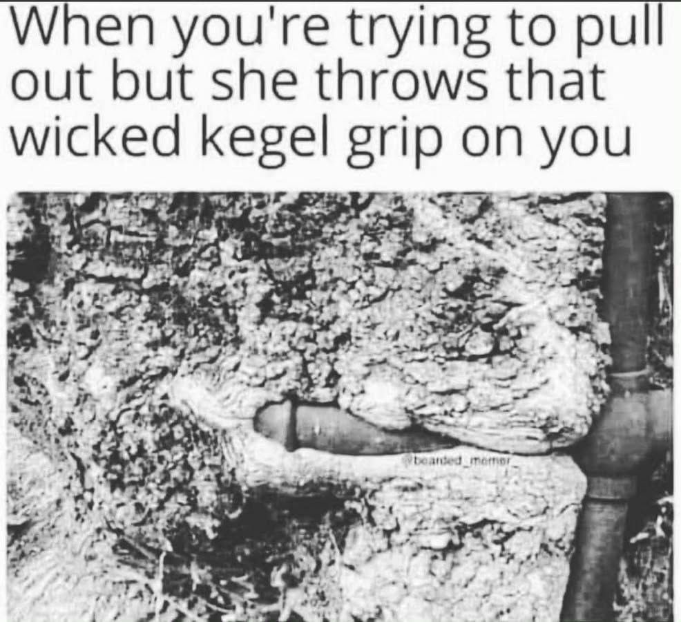 25 Memes That Are Walking a Very Questionable Line 21 When youre trying to pull