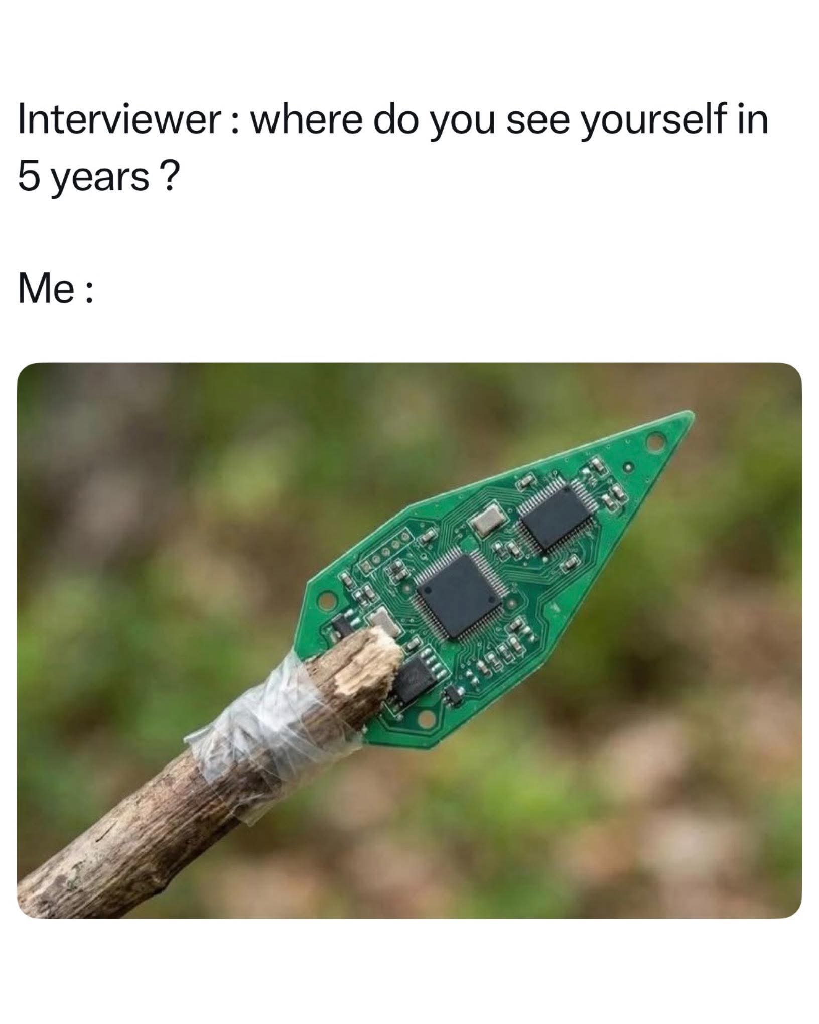 20 Random Memes That Exist for Absolutely No Reason and That’s the Reason 22 Where do you see yourself