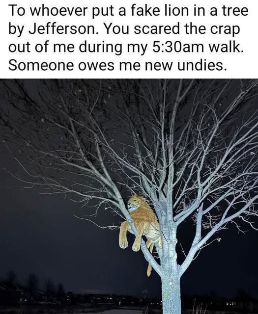 20 Memes That Sneak in a Few Naughty Jokes Between the Madness 20 Whoever put a fake lion