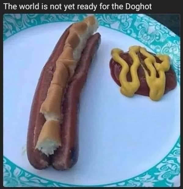 20 Hotdog Memes That Went Off the Grill and Never Came Back 21 World is not ready for doghot