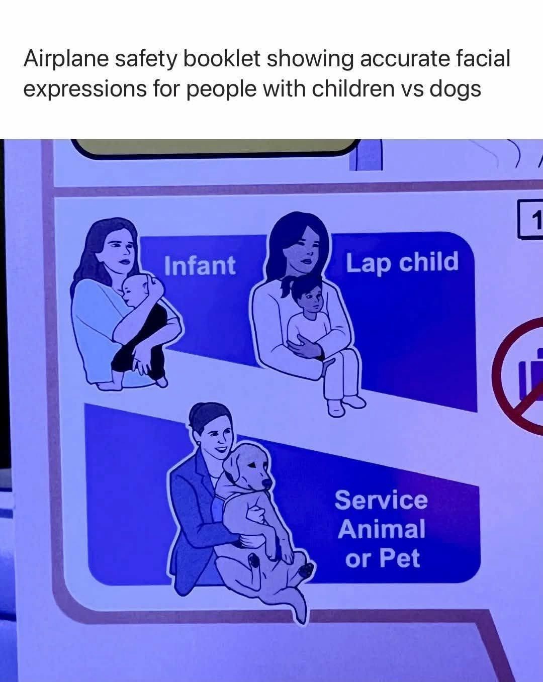 20 Memes That Feel Like a Conversation You Walked Into Midway 3 airplane safety booklets