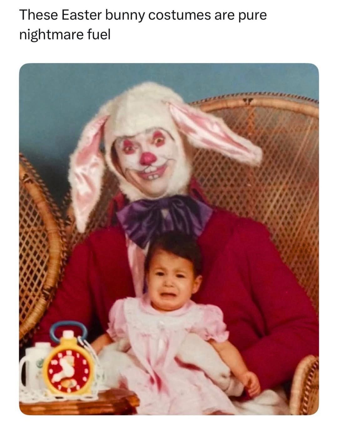aster bunny costume