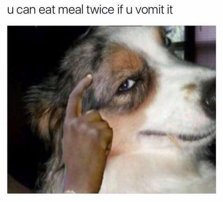 20 Internet Dumpster Fire Memes You Won’t Be Able to Look Away From 6 at meal twice