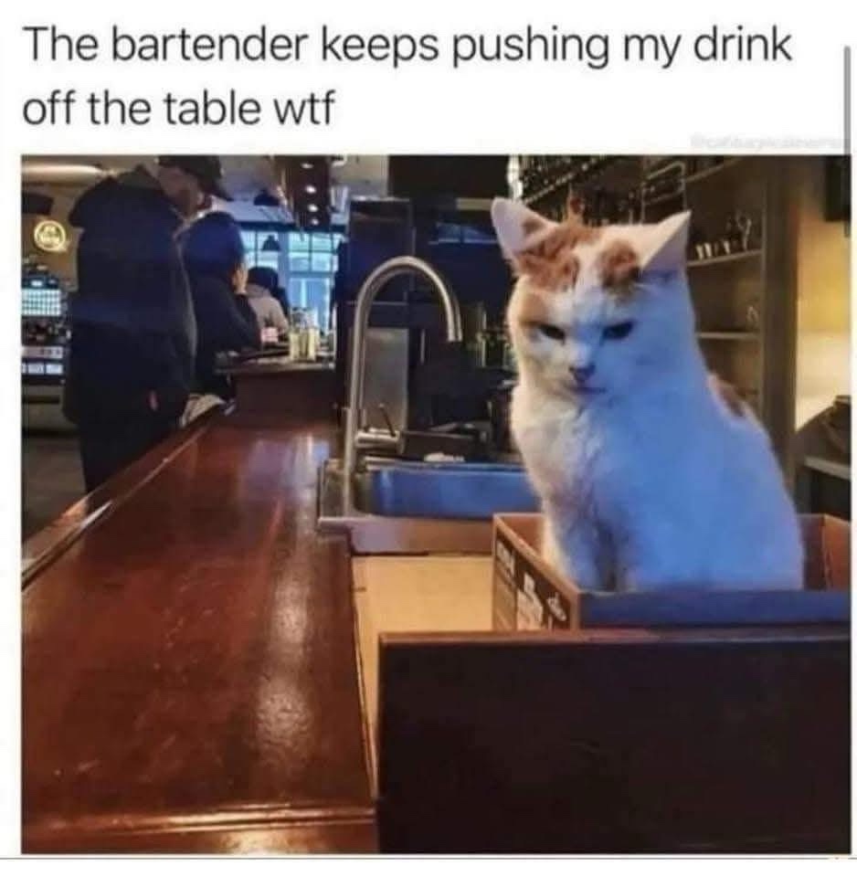 20 Memes That Take a Slightly Naughty Detour Midway 3 bartender keeps pushing my drink