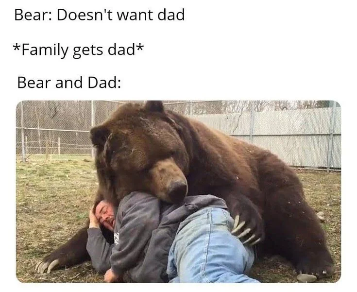 20 Memes That Are Subtly Simple and Stupidly Funny 4 bear and dad