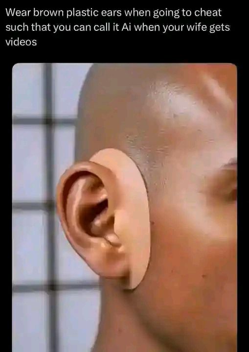 21 Memes That Have the Energy of a Motel Room With No Questions Asked 5 brown plastic ears