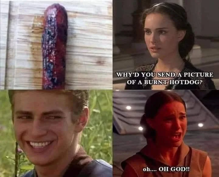 20 Hotdog Memes That Went Off the Grill and Never Came Back 4 burnt hotdog