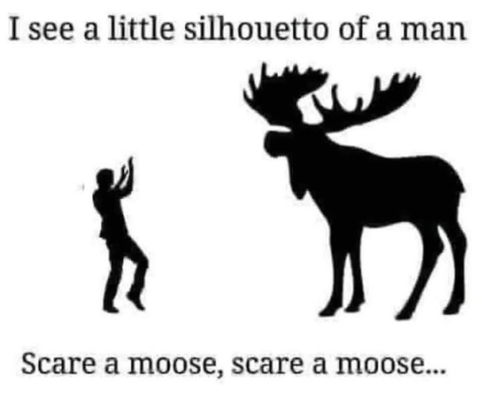 20 Memes That Have the Energy of a Shopping Cart With One Bad Wheel 3 care a mosse