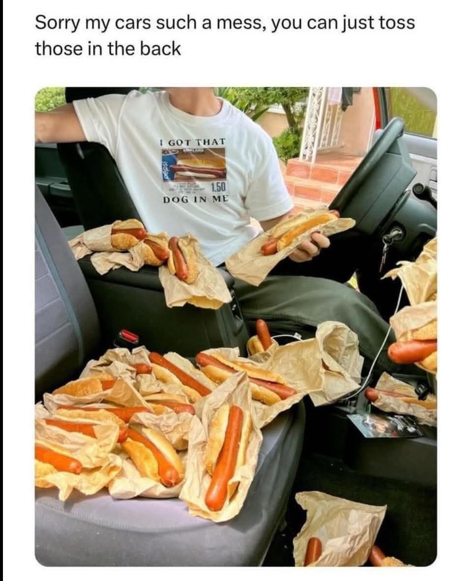 20 Hotdog Memes That Went Off the Grill and Never Came Back 6 cars such a mess