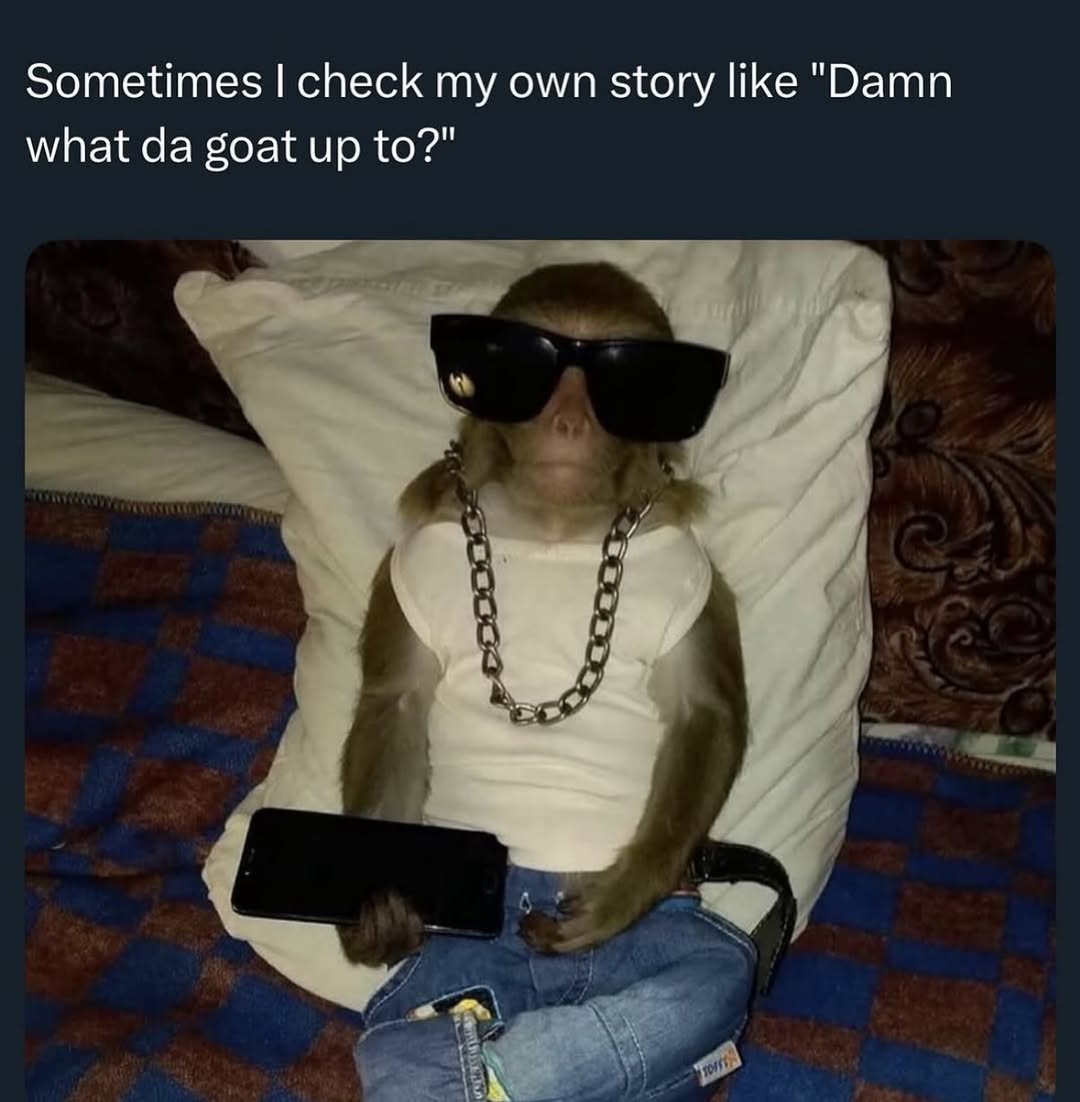 20 Random Silly Memes That Will Make You Laugh Way Harder Than They Deserve 6 check my own story