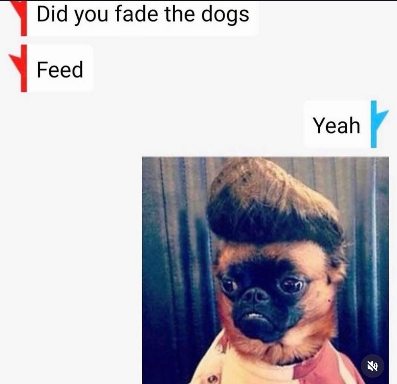 20 Internet Dumpster Fire Memes You Won’t Be Able to Look Away From 10 did you fade the dog