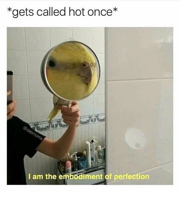 ets called hlot
