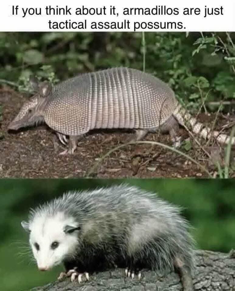 20 Memes That Have the Energy of a Shopping Cart With One Bad Wheel 5 f you think about it