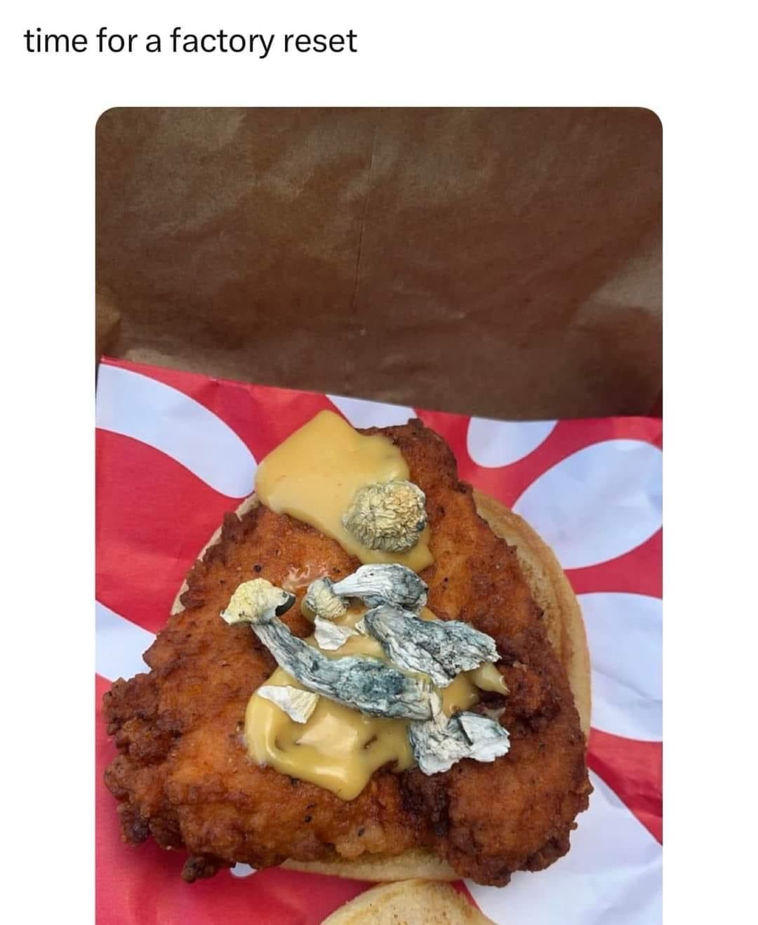 27 Memes to Distract You from Whatever You’re Avoiding 26 factory reset