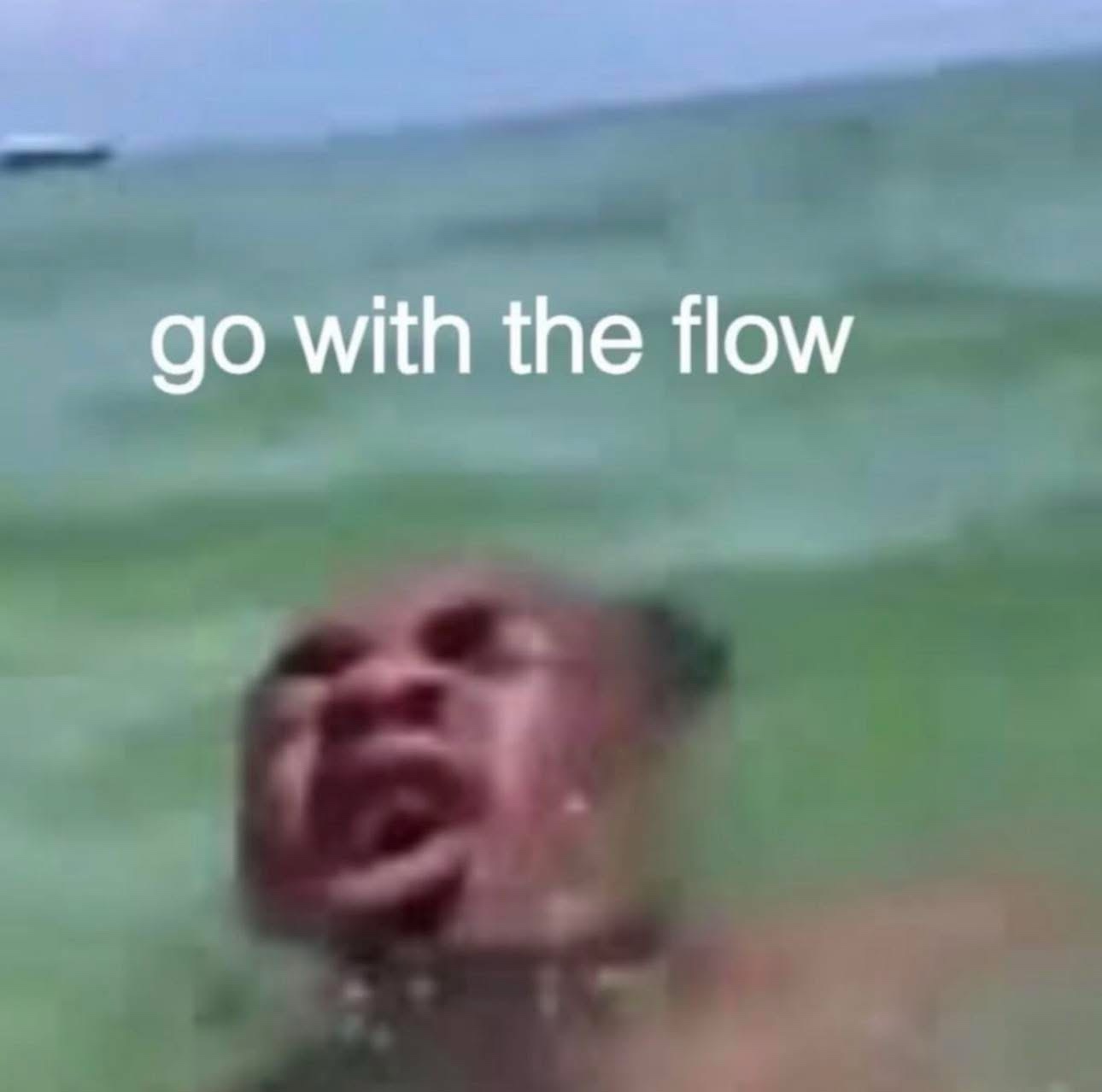 20 Memes That Hit Like Getting Slapped by a Wet Sock 6 go with the flow