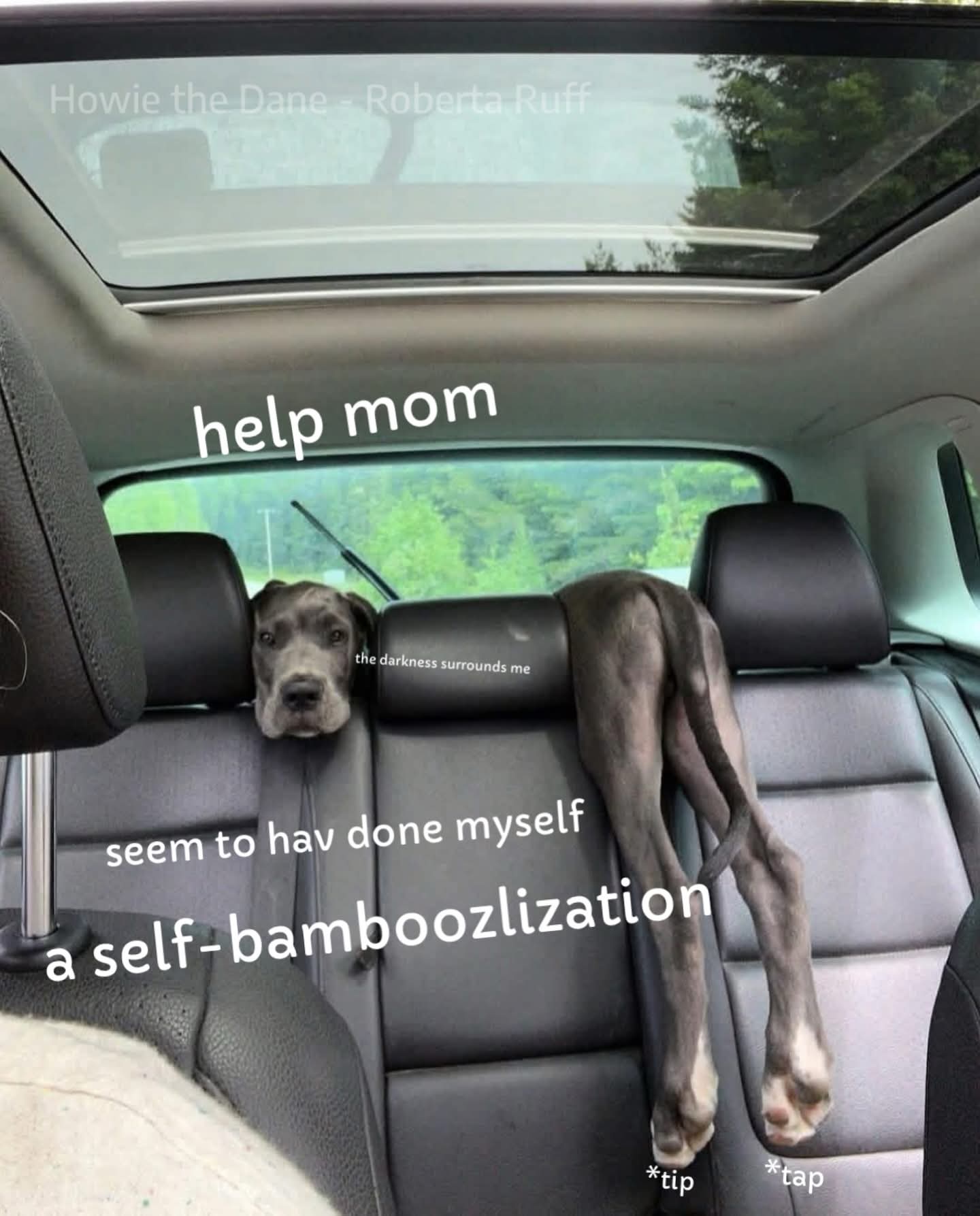 20 Memes That Have the Energy of a Shopping Cart With One Bad Wheel 9 hep mom