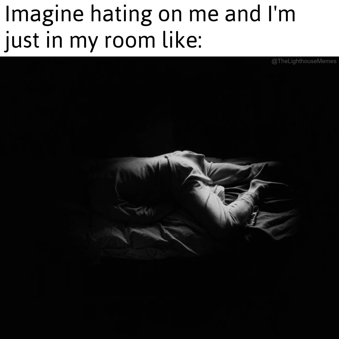 20 'The Lighthouse Memes' More Unhinged Than Two Men Trapped With One Seagull 10 imagine hating on me