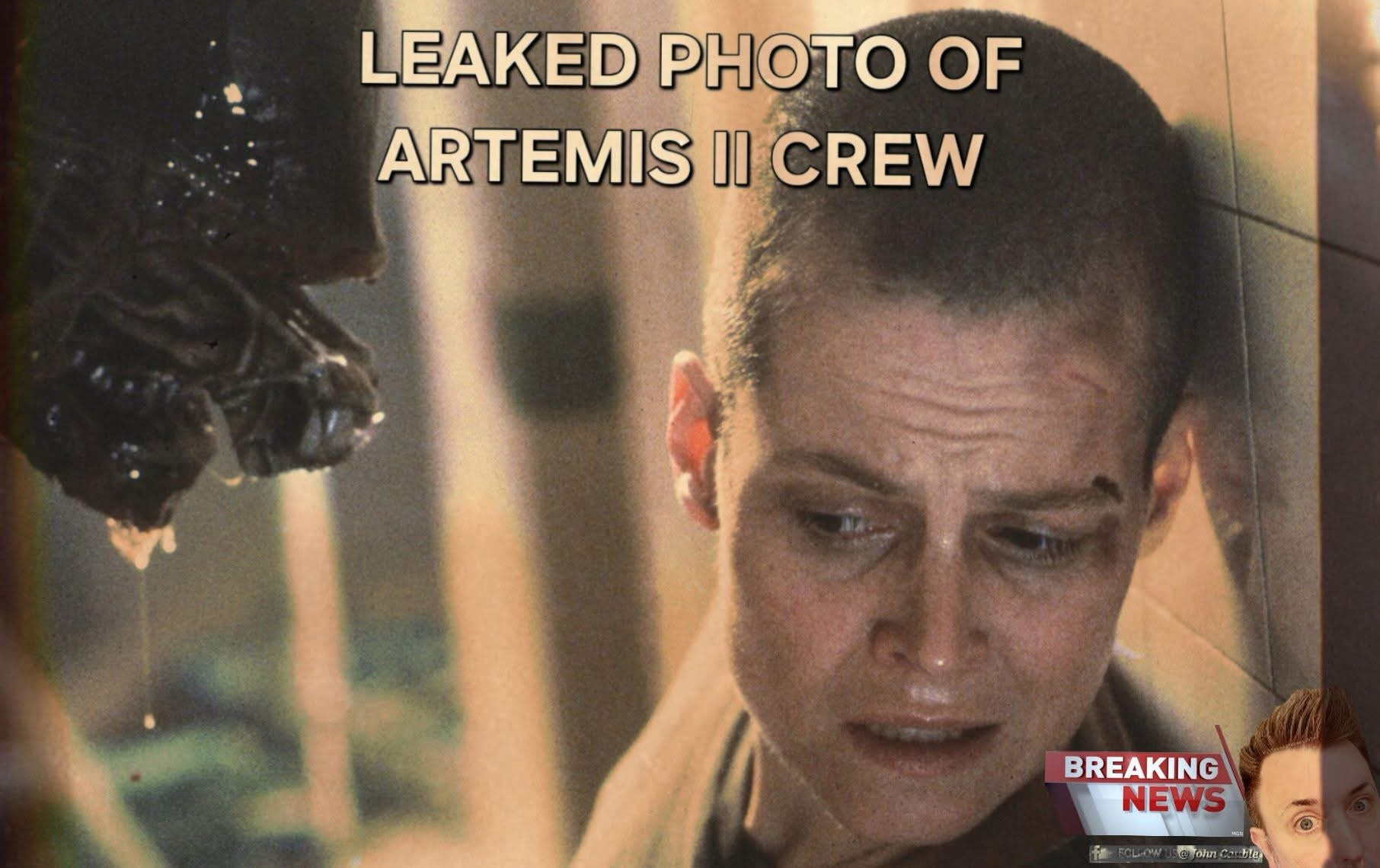 20 Memes That Hit Like Getting Slapped by a Wet Sock 13 leaked foto