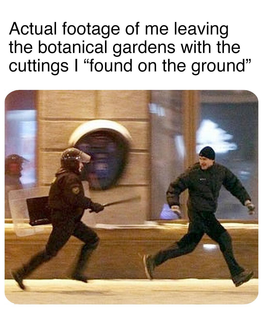 20 Random Memes That Exist for Absolutely No Reason and That’s the Reason 10 leaving the botanical gardens