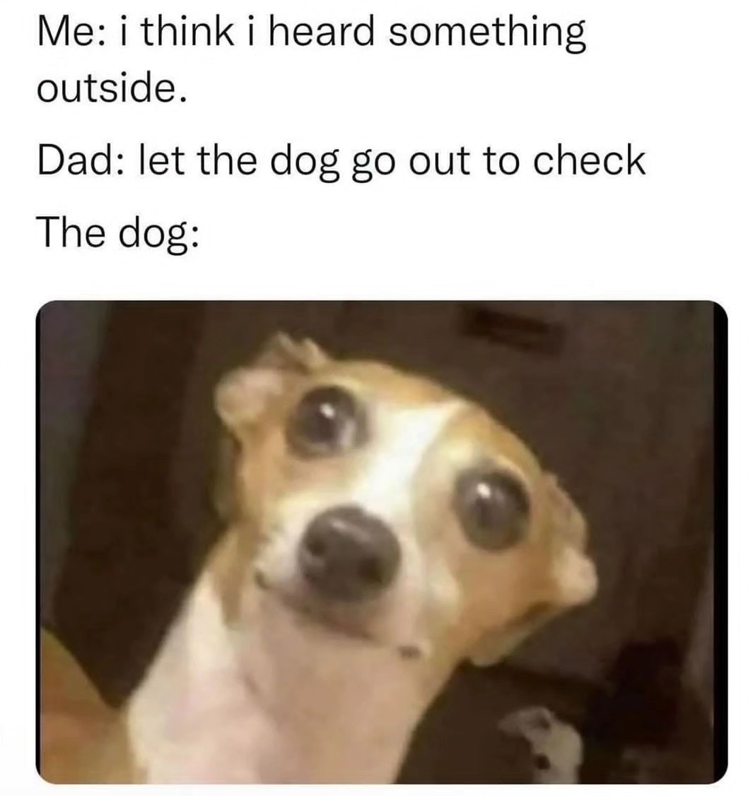 20 Random Silly Memes That Will Make You Laugh Way Harder Than They Deserve 14 let the dog go out