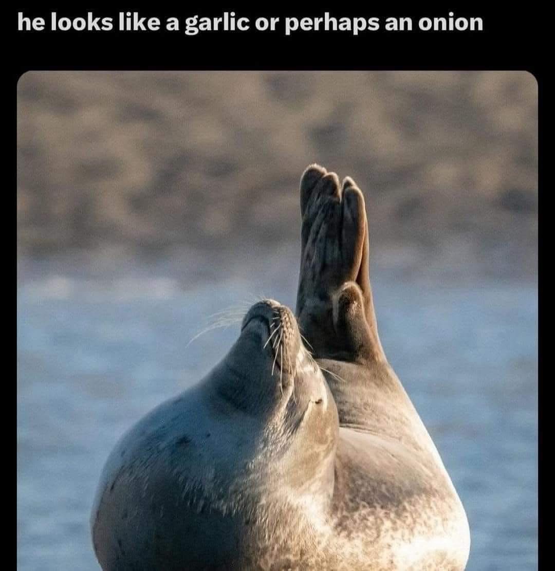 20 Memes That Are Funny, Random, and Occasionally a Little Bit Naughty 9 looks like grlic