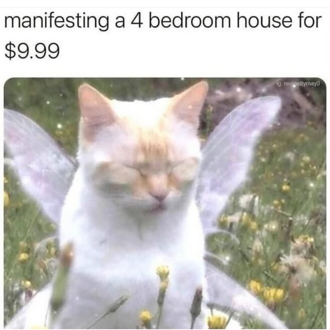 20 Random Silly Memes That Will Make You Laugh Way Harder Than They Deserve 15 manifesting a 4bhk
