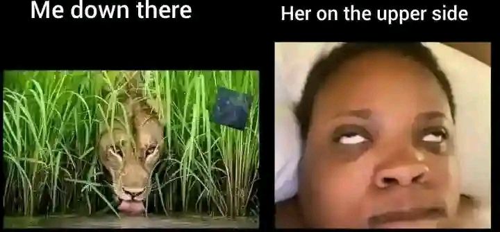 21 Memes That Have the Energy of a Motel Room With No Questions Asked 11 me down there