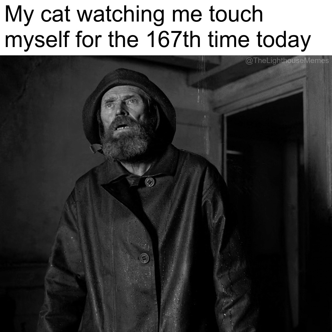 20 'The Lighthouse Memes' More Unhinged Than Two Men Trapped With One Seagull 13 my cat watching me