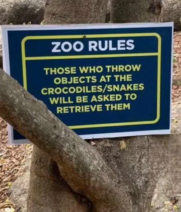 20 Oddly Funny Rules That Feel Like Inside Jokes You’re Not Part Of 12 new rules