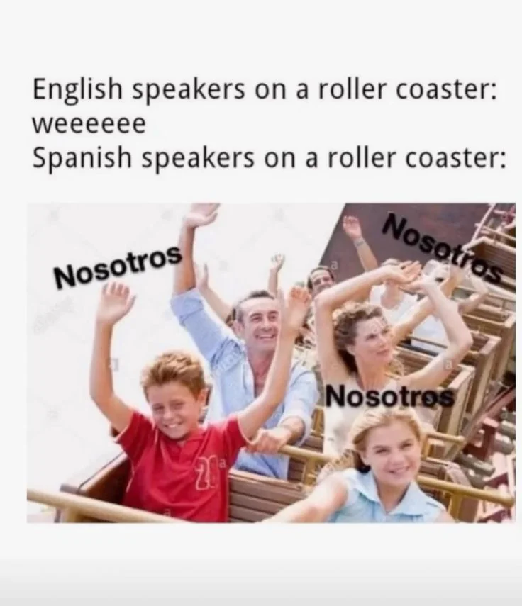 20 Memes That Are Subtly Simple and Stupidly Funny 15 nglish speakers on roller coaster
