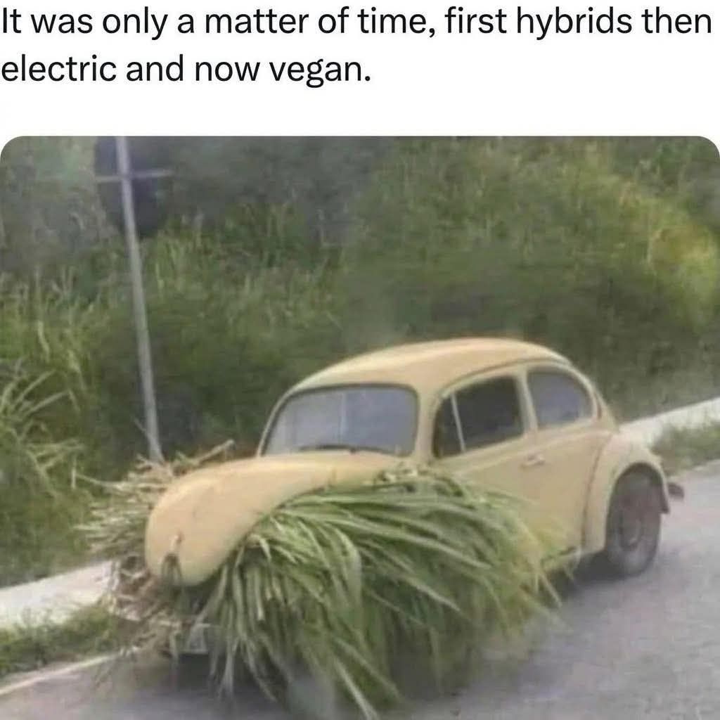 20 Memes That Screamed Internally So You Didn’t Have To 13 only a matter of time