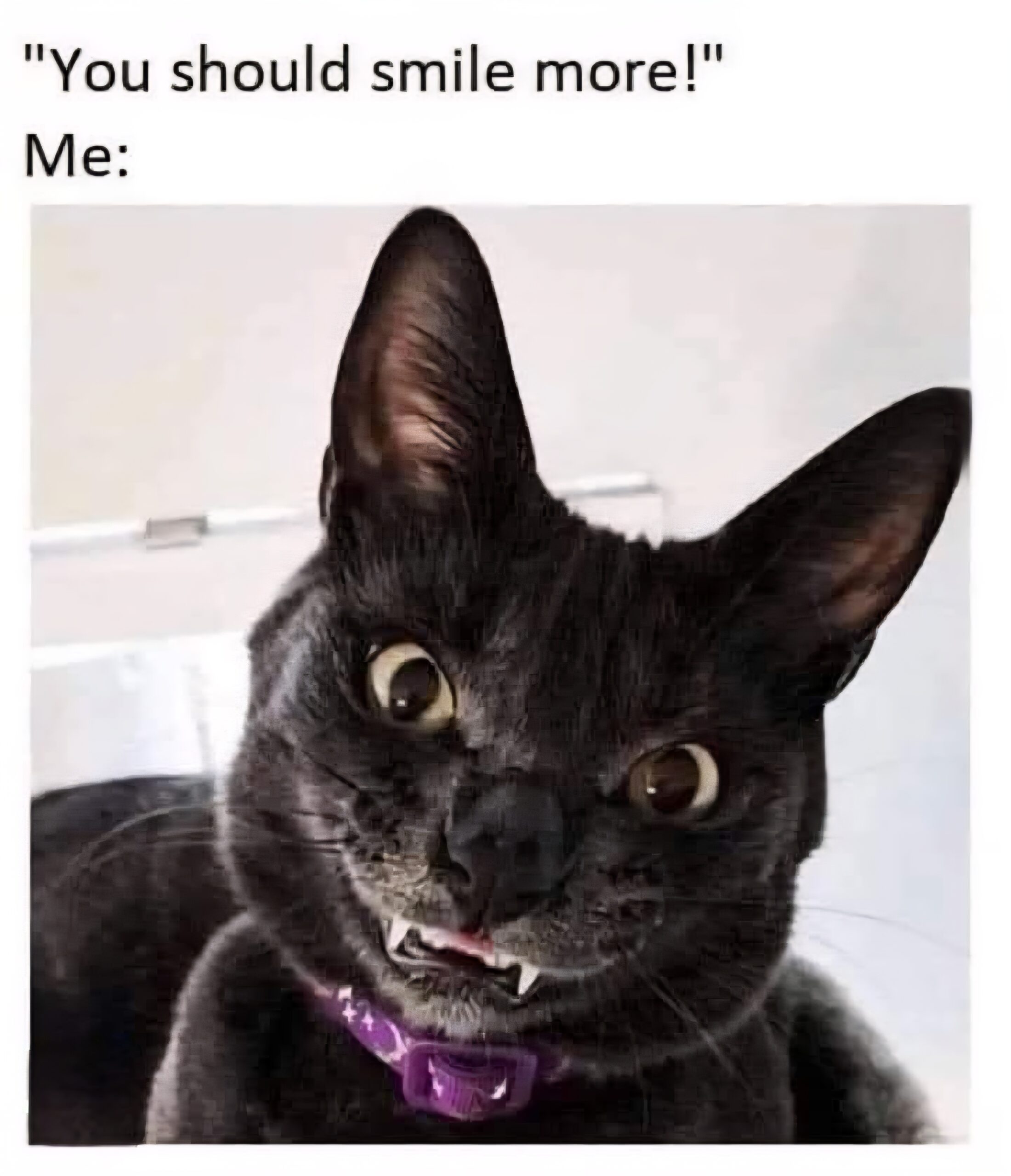 20 Memes That Have the Energy of a Shopping Cart With One Bad Wheel 15 ou should smile more