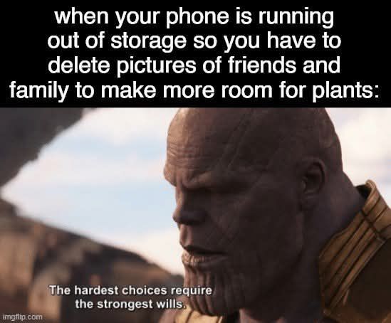 20 Memes That Screamed Internally So You Didn’t Have To 14 phone running out of memory