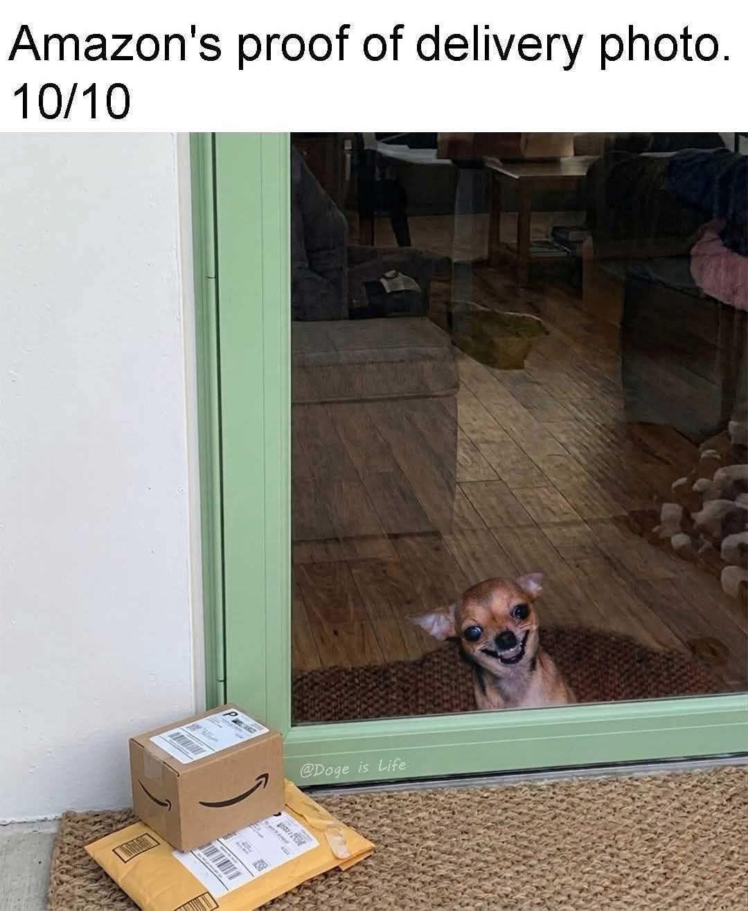 20 Memes You’ll Open Out of Curiosity and Not Recover From 12 proof od delivery