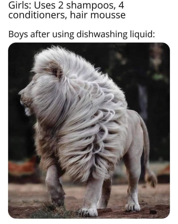 20 Memes That Feel Like Random Thoughts Escaping Your Brain 17 uses 2 sahmpoo