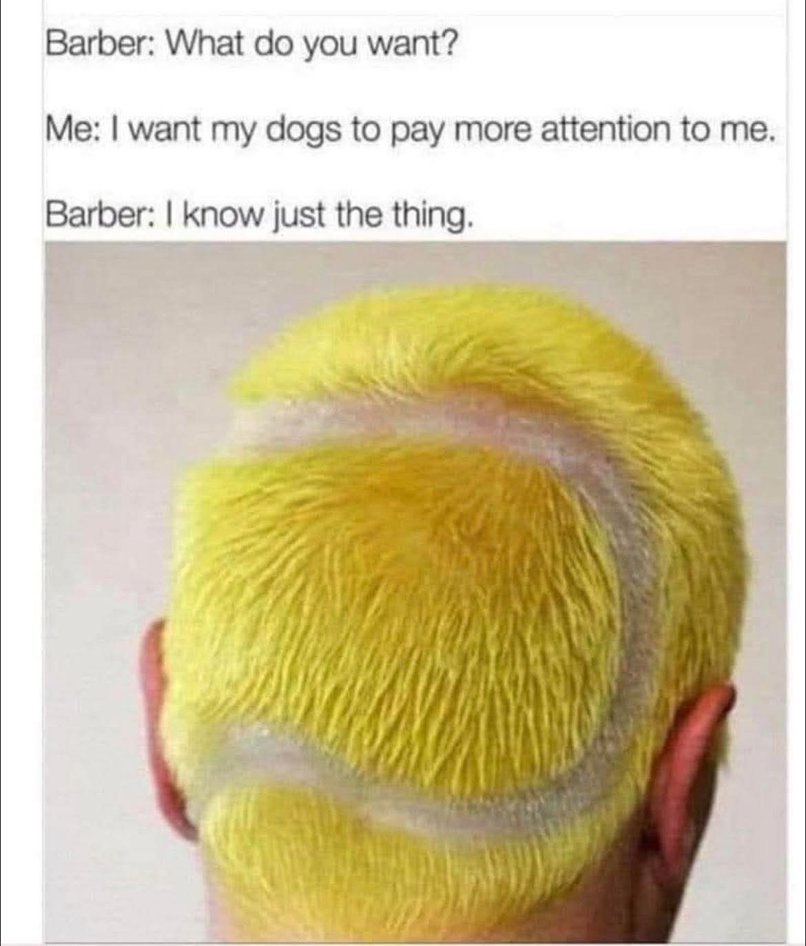 20 Memes That Were Definitely Found in a Dumpster Behind Reality 18 what di you want