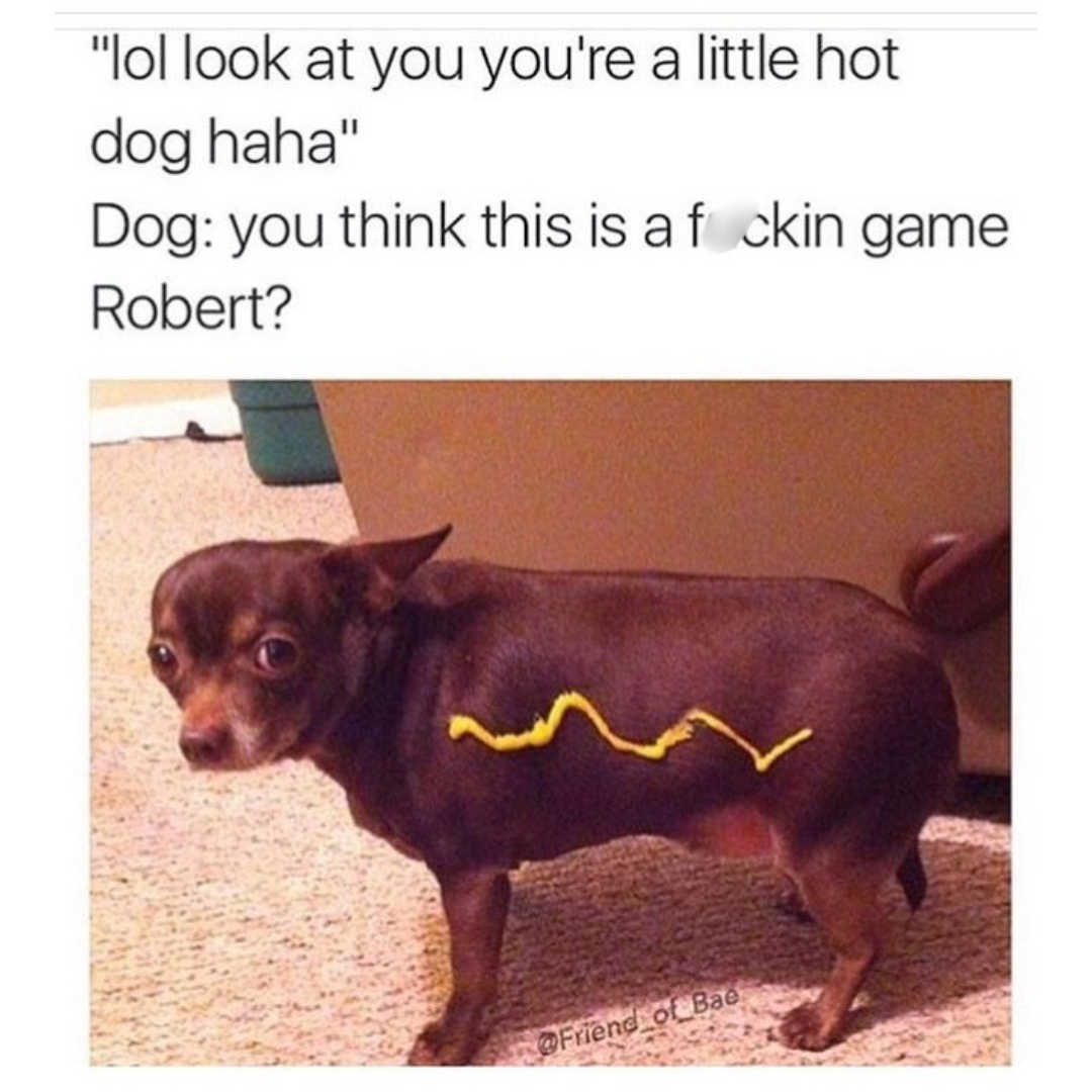 20 Hotdog Memes That Went Off the Grill and Never Came Back 22 you think this is a game