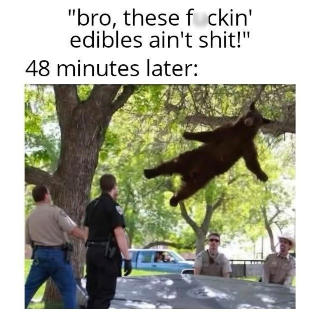 20 Memes That Keep Changing the Radio Station in Your Brain 3 48 minutes later