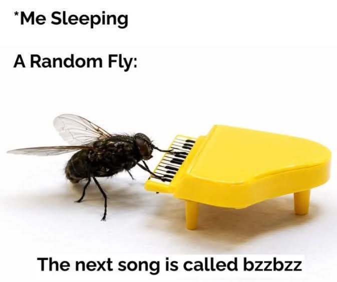 20 Memes That Are One Thought Away From Being Cancelled 4 A random fly