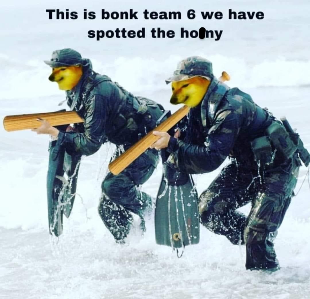 35 Wild Memes That Prove the Internet Has No Chill 38 Bonk team 6