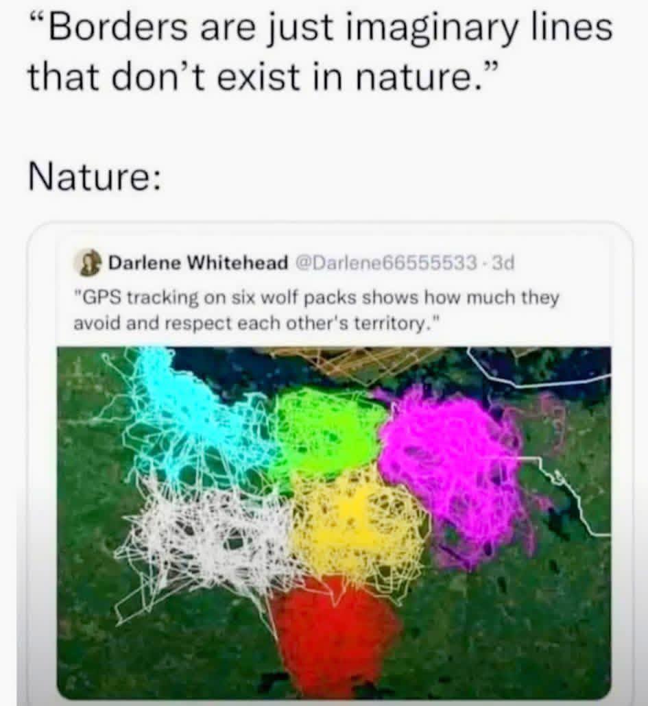 20 Memes That Are One Thought Away From Being Cancelled 8 Borders are just imaginary lines